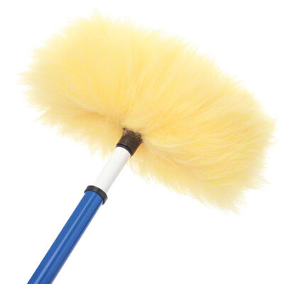 Wall & Ceiling - Lambswool Duster
